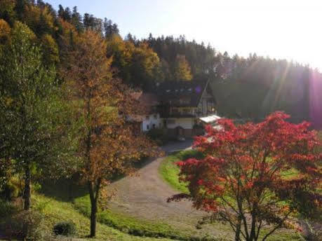Md Waldhotel Palmspring 巴特彼得斯塔尔-格里斯巴赫 外观 照片